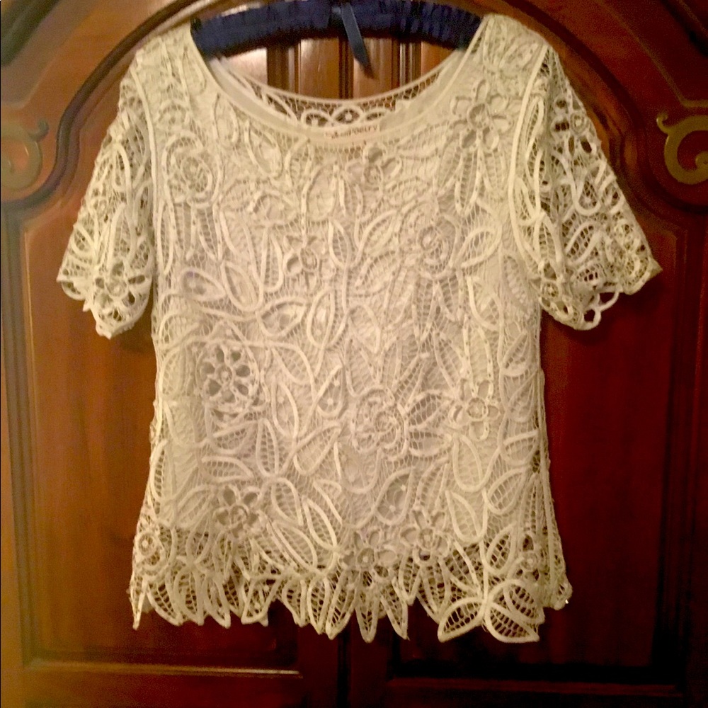 Elegant powder blue lace top.
